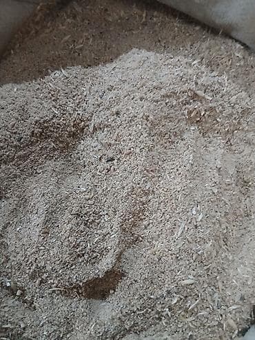 Бөлмө өсүмдүктөрү: Отход Кебек Экоосу 50% Аралашкан жем бар — 1