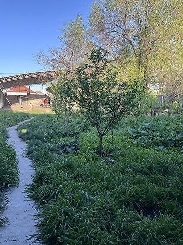 военно антоновка восст: Продается дом с участком 10 соток ! Дом находится 200 метров от — 10