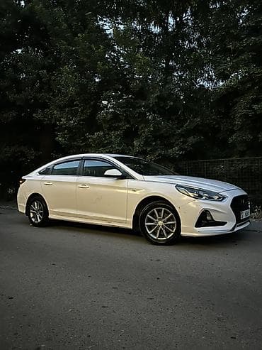 резиновый коврик: Hyundai Sonata: 2018 г., 2 л, Автомат, Газ, Седан — 1