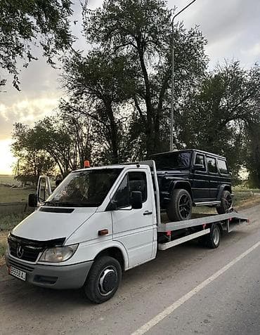 акардион сатып алам: С прямой платформой — 1