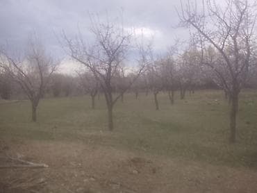 участок антановка: 15 соток, Для сельского хозяйства — 2