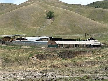 беловодское продажа квартир: 100 соток, Красная книга — 10