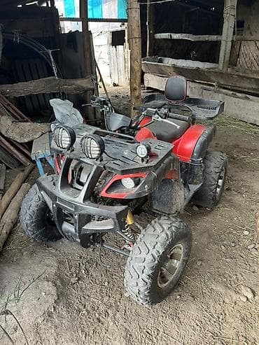 кумурска мотолор: Квадроцикл 4x2/4x4 утилитарного типа, красно‑черный. Основные — 2