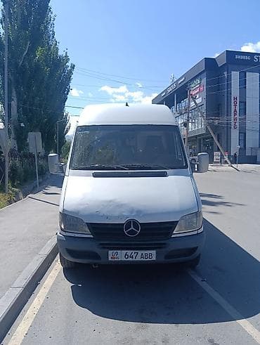 писталет краска: Mercedes-Benz Sprinter — пассажирский микроавтобус длинной базы и — 4