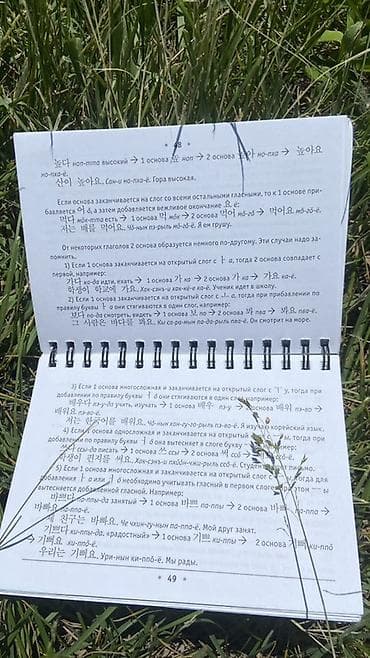 переписать конспект за деньги: Справочник «Все правила корейского языка на ладони» (издательство — 6