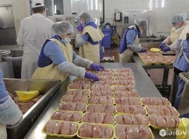 оборудование для молока: 🚨 РАБОТА С ПРОЖИВАНИЕМ! 🚨 👨‍👩‍👧 Приглашаем мужчин, женщин и семейные — 1