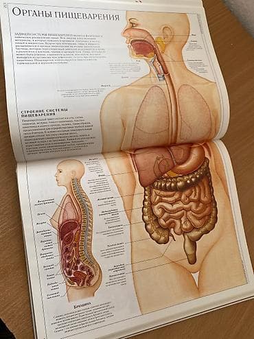 продаю боди: Книга «Человеческое тело» Dorling Kindersley, под редакцией Тони Смита — 2