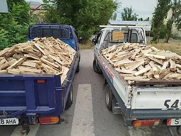 Отун Мөмө жыгачы, Акысыз жеткирүү, Акылуу жеткирүү