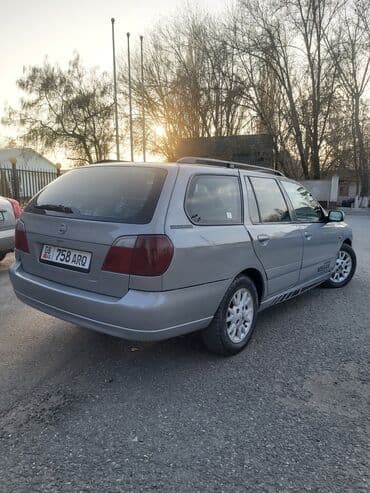 возьму собаку в добрые руки: Продаю | Бык (самец) — 3