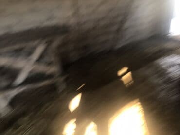 дойный каровы: Продаю | Музоо, торпок | Полукровка | На откорм | Привязанные — 3