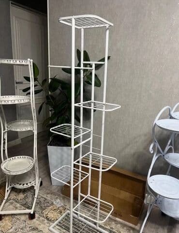 купить комнатные цветы в бишкеке: Комнатные декоративные растения в кашпо 1) Толстянка (Crassula ovata — 28