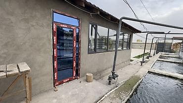 Строительство под ключ: Пластиковая дверь на заказ, Входная, Для частного дома, Другое количество створок, Распашная, Узбекистанская, Бесплатный замер — 1