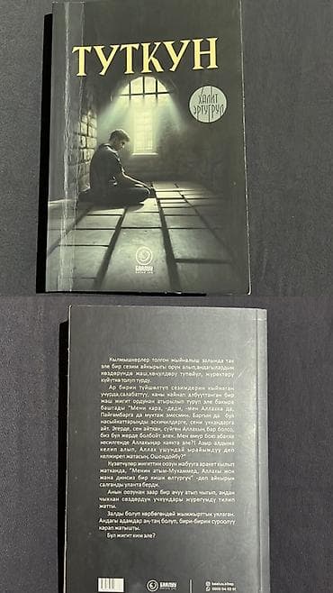 Книги и журналы: Роман, На русском языке — 6