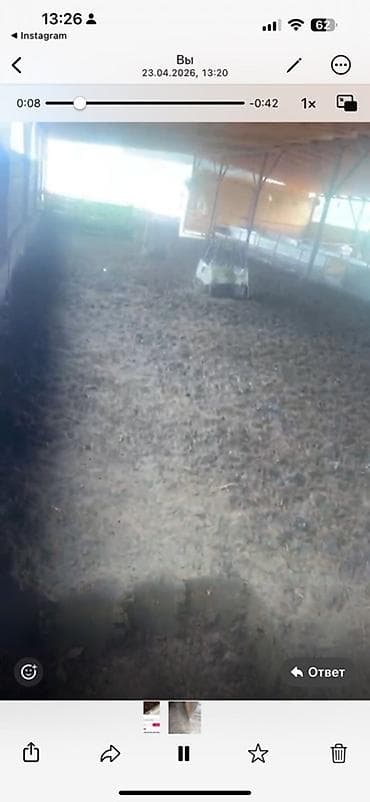 роторный касилке: Уборка помещений — 1