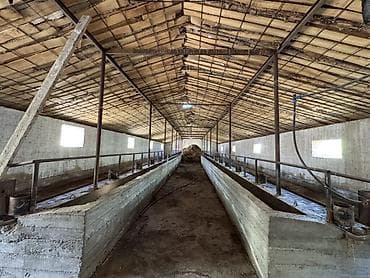 возле дороги: 5000 соток, Для сельского хозяйства, Красная книга — 8