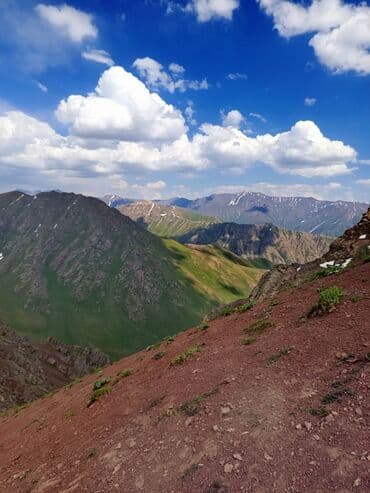 работа в бишкеке официант без опыта: Скотники — 1