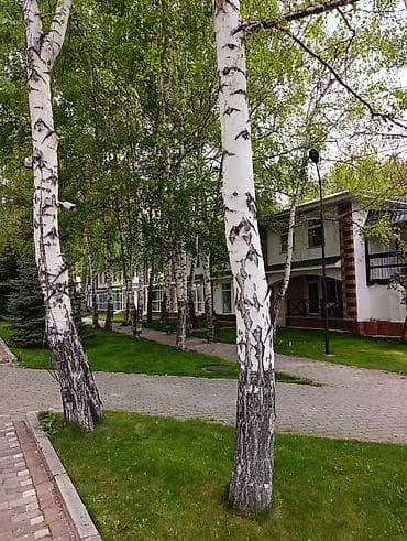 3 3: Сдаётся квартира-студия на берегу Иссык-Куля в центре отдыха "Радуга" — 8