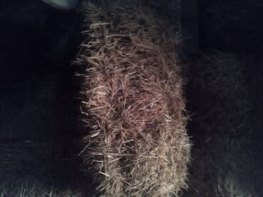 для капельного полива: Тюки соломы (прямоугольные, малые). - Плотно спрессованные — 4