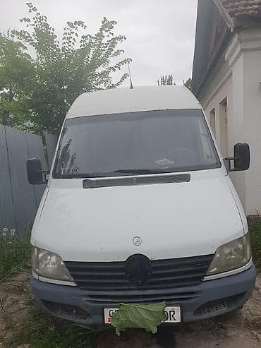 Mercedes-Benz Спринтер: 2003 г., Бус — 1
