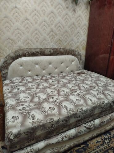 животные отдам даром: Отдам даром — 1