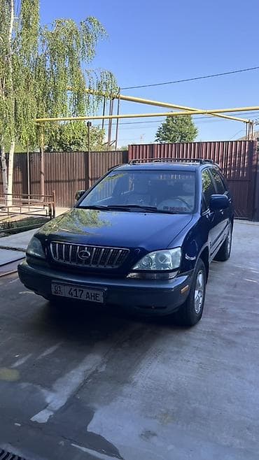 lexus: Lexus RX: 2003 г., 3 л, Автомат, Бензин, Кроссовер — 2
