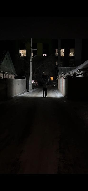 Комнатные растения: Мощные Солнечные уличные прожекторы LED 300W. с выносной солнечной — 7