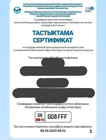 Сертификат на государственный регистрационный номер с особенной