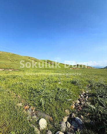 с сосновка: 20 соток — 1