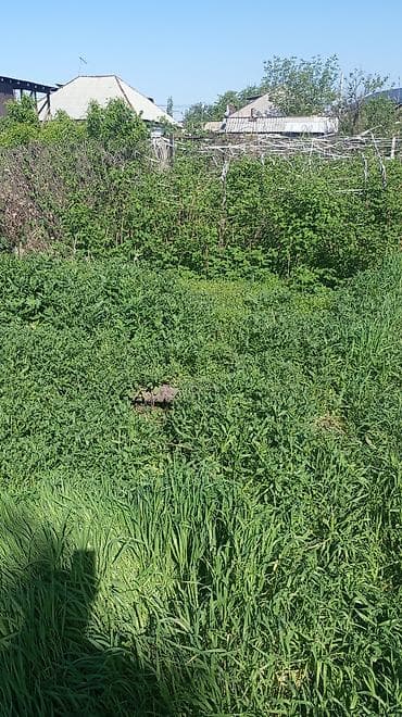 площадь победы: Срочно продаю дом с участком 11 соток в районе Рабочего Городка. Дом — 3