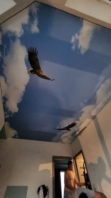 прием пенопласта: Натяжные потолки не вонючим материалом Материалы чисто российские — 10