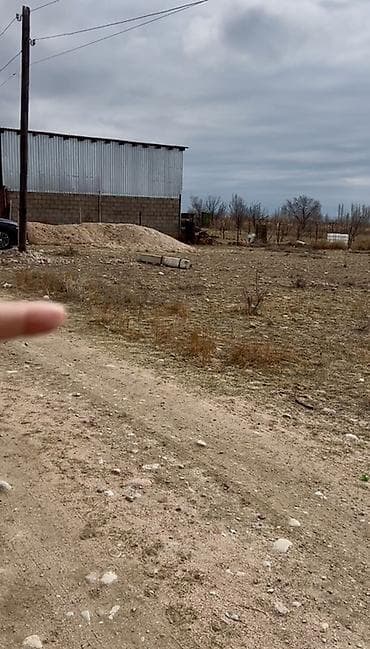 уч: 8 соток, Бизнес үчүн, Кызыл китеп — 6