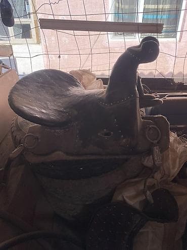 отель для собак: Седло для верховой езды ээр токун сатылат — 3