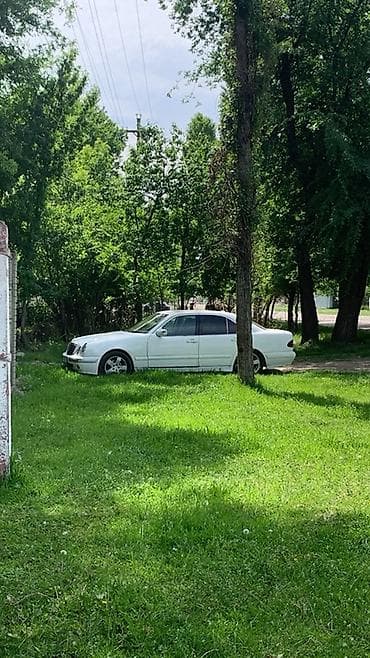 Транспорт: Mercedes-Benz E-Class: 2000 г., 3.2 л, Автомат, Дизель, Седан — 1