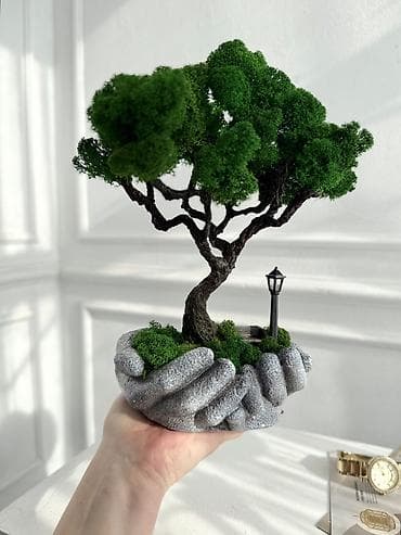 шапке: Интерьерные композиции с деревом бонсай из натурального живого — 4