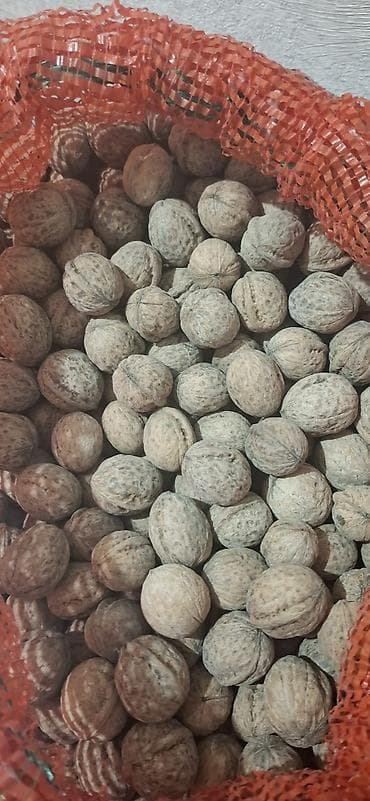 токмок квартира: 2 комнаты, 48 м², 105 серия, 3 этаж, Старый ремонт — 2