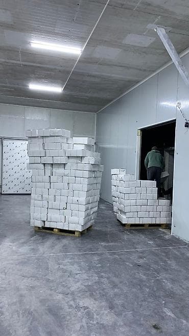 электроинструменты бишкек: Продаётся оптом и розницу замороженная утиная грудка без кости с — 5