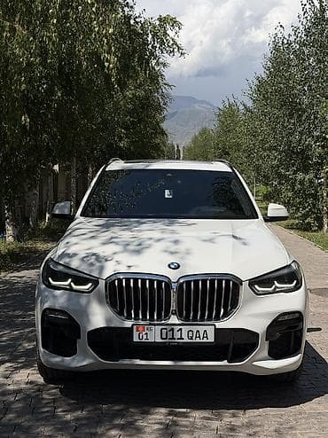 электромобиль byd e2: BMW X5: 2019 г., 3 л, Автомат, Бензин, Кроссовер — 3