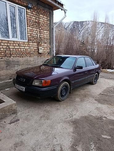 водная техника: Audi 100: 1993 г., 2.3 л, Механика, Бензин, Седан — 3
