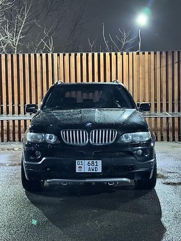 srv 2: BMW X5: 2004 г., 4.8 л, Типтроник, Бензин, Кроссовер — 1