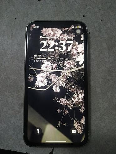 flip 4: IPhone Xr, 128 ГБ, Серебристый — 5