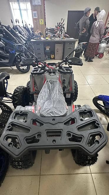 обмен на квадроцикл: Квадроциклы для бездорожья — утилитарные и туристические модели — 6