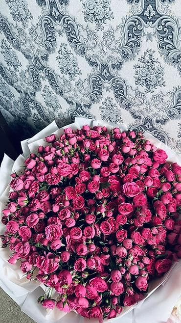 продаю роза: Пышный букет из кустовых роз ярко-розового оттенка.Mono Safyia 50 шт — 3
