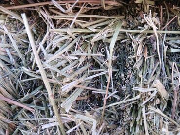 бюро находок бишкек номер телефона: Эспарсет 400 сом — 2