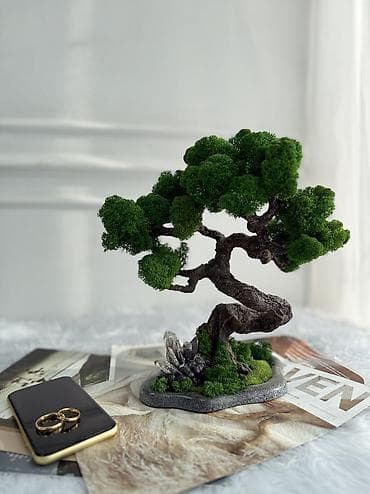 Деревья-бонсай из натурального стабилизированного мха🌳 -это