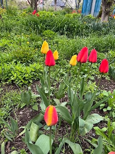 письменные столы бишкек: Самовывоз — 3