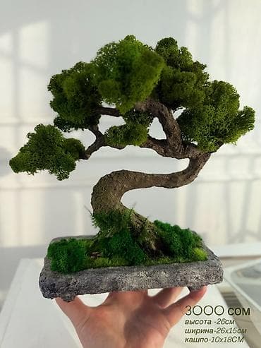 Миниатюрная Интерьерная Композиция Декор для дома и офиса «Бонсай» из