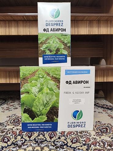 дробленая кукуруза: Семена сахарной свёклы FD AVIRON (ФД Авирон) — Florimond Desprez - — 1