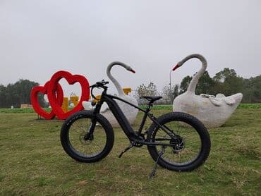 Велосипеддер: Электрдик велосипеддер, Колдонулган — 2