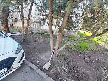 клинин: Аймактарды жыйнап тазалоо, Уборка двора и сада — 5