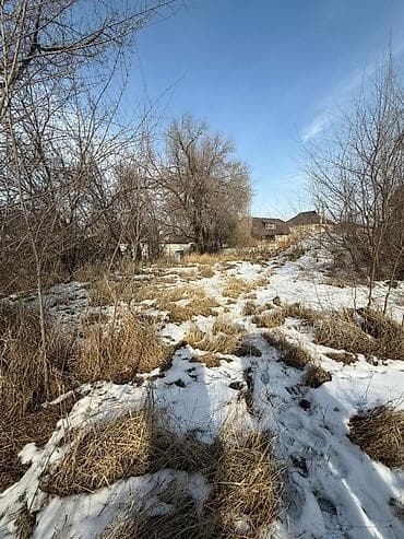 участок в тюпе: 6 соток, Для сельского хозяйства, Красная книга, Тех паспорт, Договор купли-продажи — 4